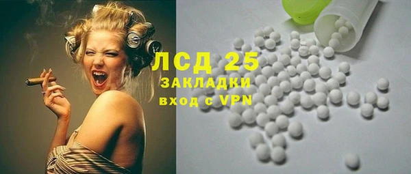 индика Абинск