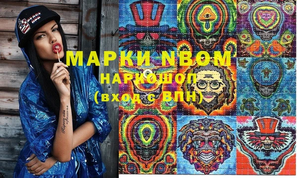 индика Абинск