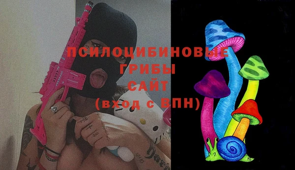 индика Абинск