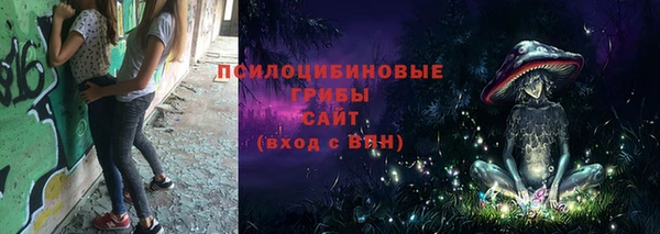 гидропоника Абаза