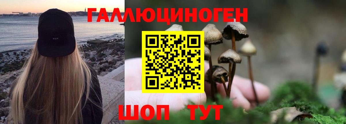 Псилоцибиновые грибы ЛСД  Вход с VPN  Советская Гавань 