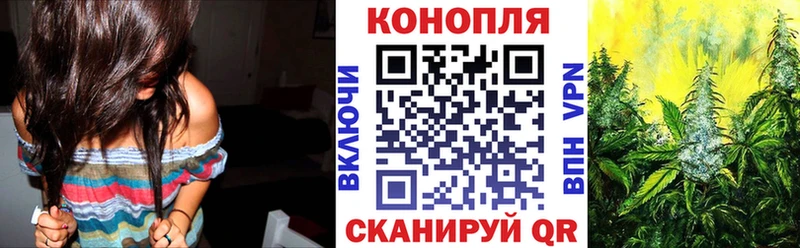 Шишки марихуана марихуана  Советская Гавань 
